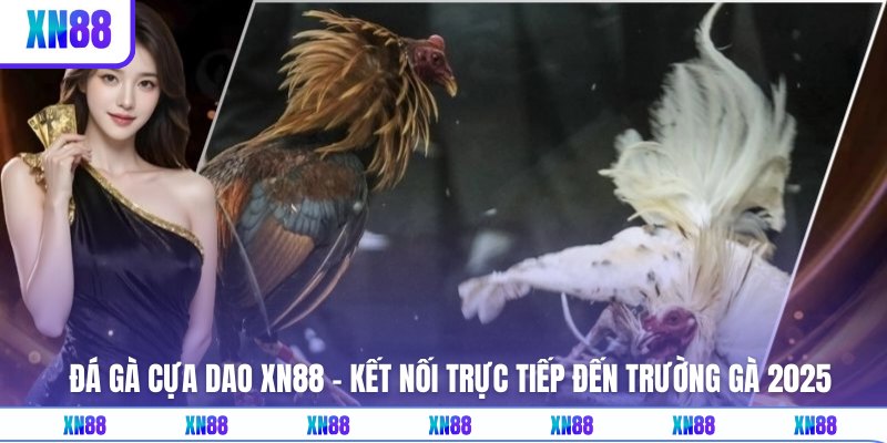 Đá Gà Cựa Dao XN88 - Kết Nối Trực Tiếp Đến Trường Gà 2025
