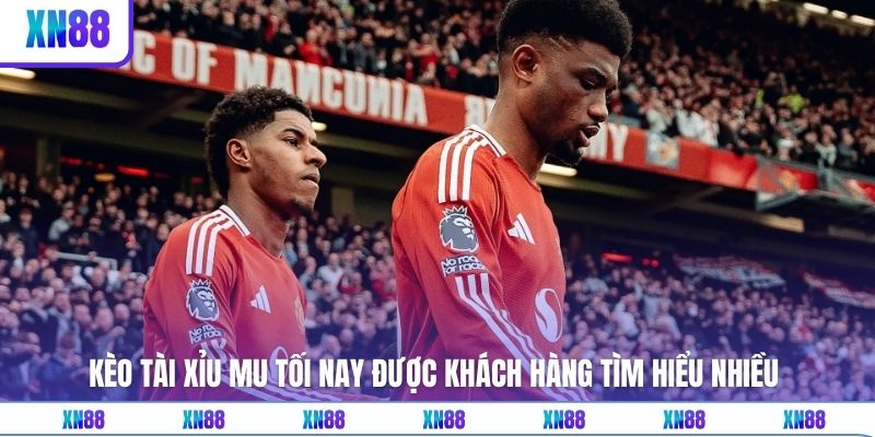 Kèo tài xỉu MU tối nay được khách hàng tìm hiểu nhiều